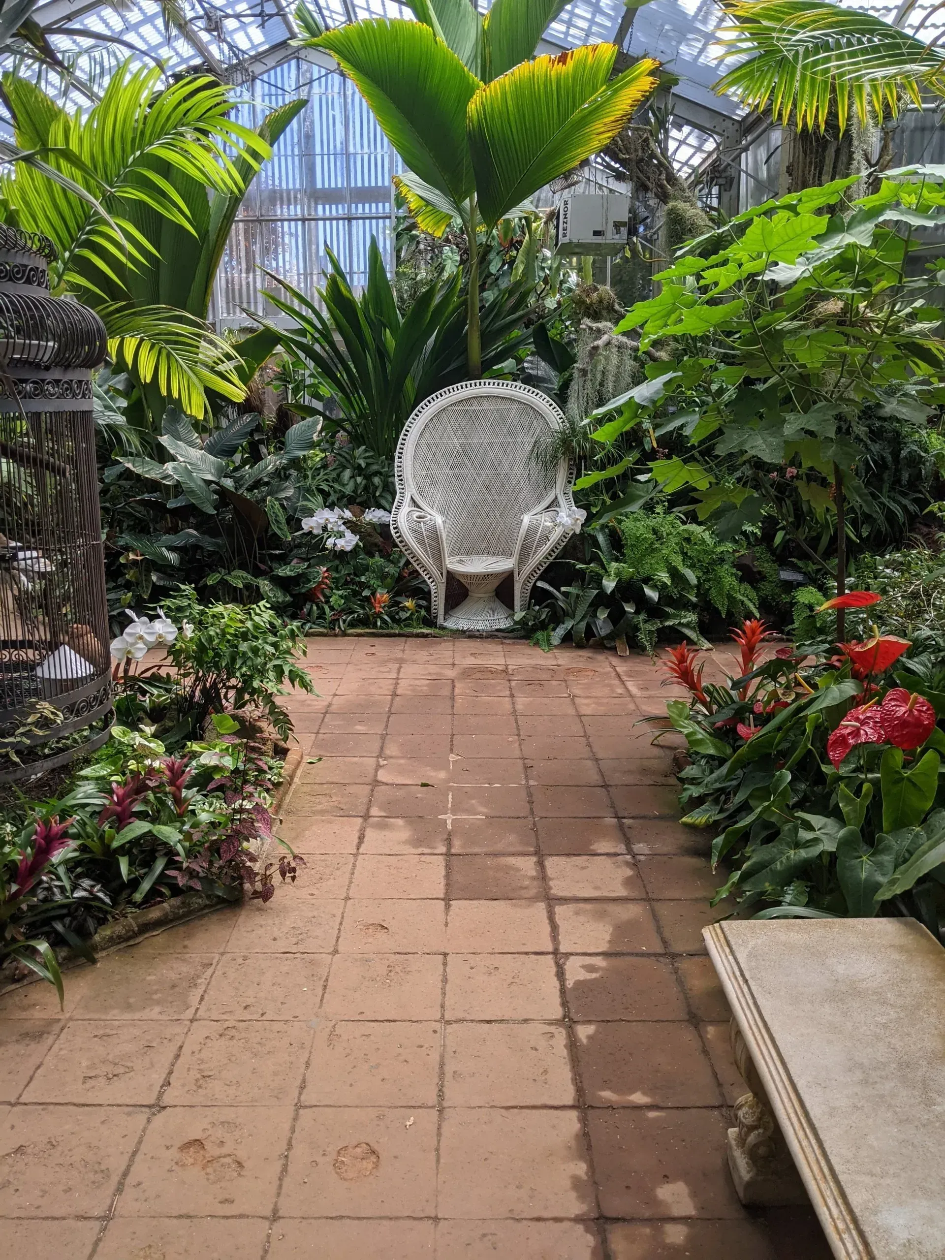 A tiled path leads to an ornate, white chair in a lush greenhouse with tropical plants and red flowers.