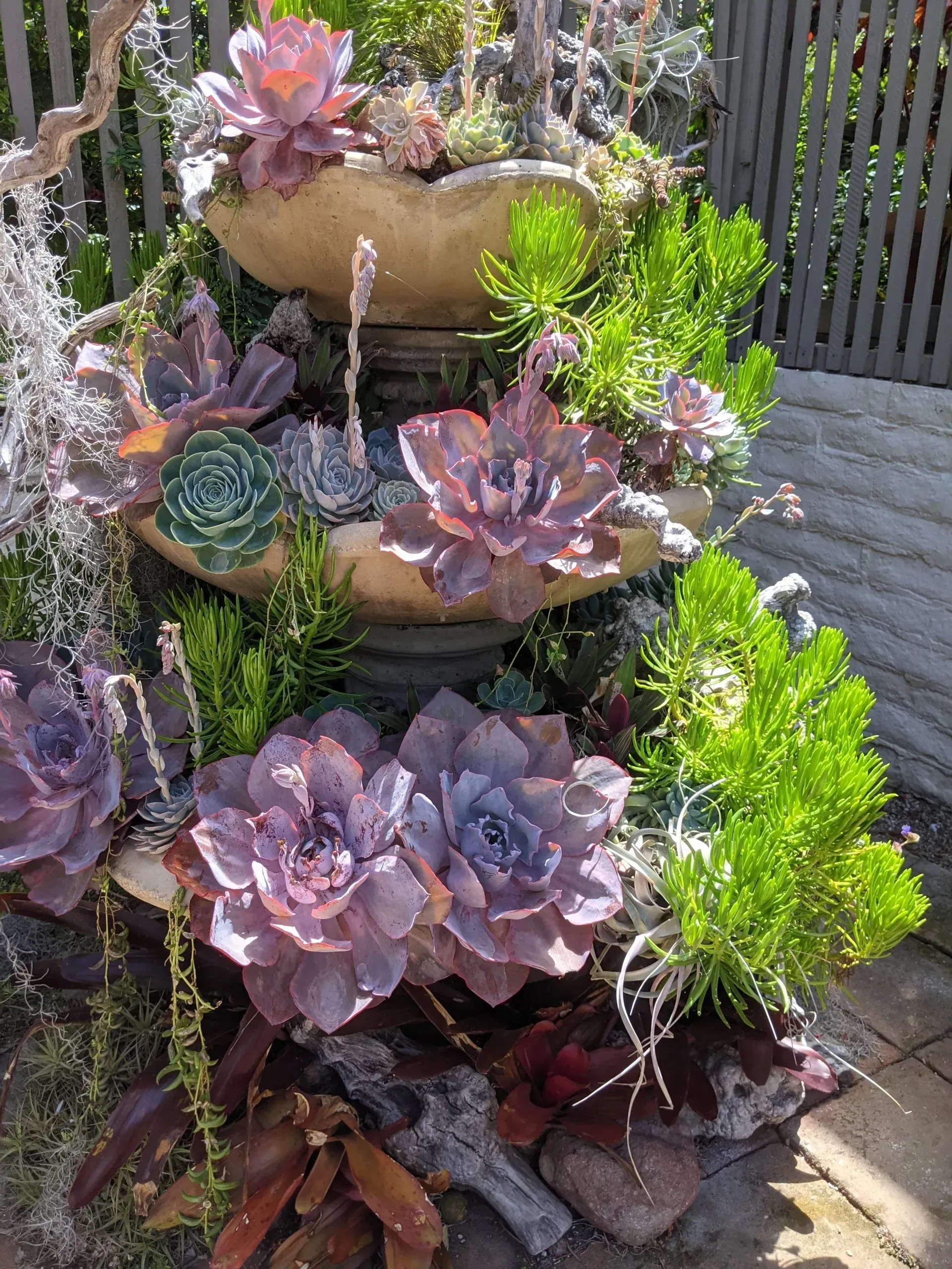 Succulent fountain with various purple, green, and blue plants in a sunny outdoor setting. Water trickles down tiers.