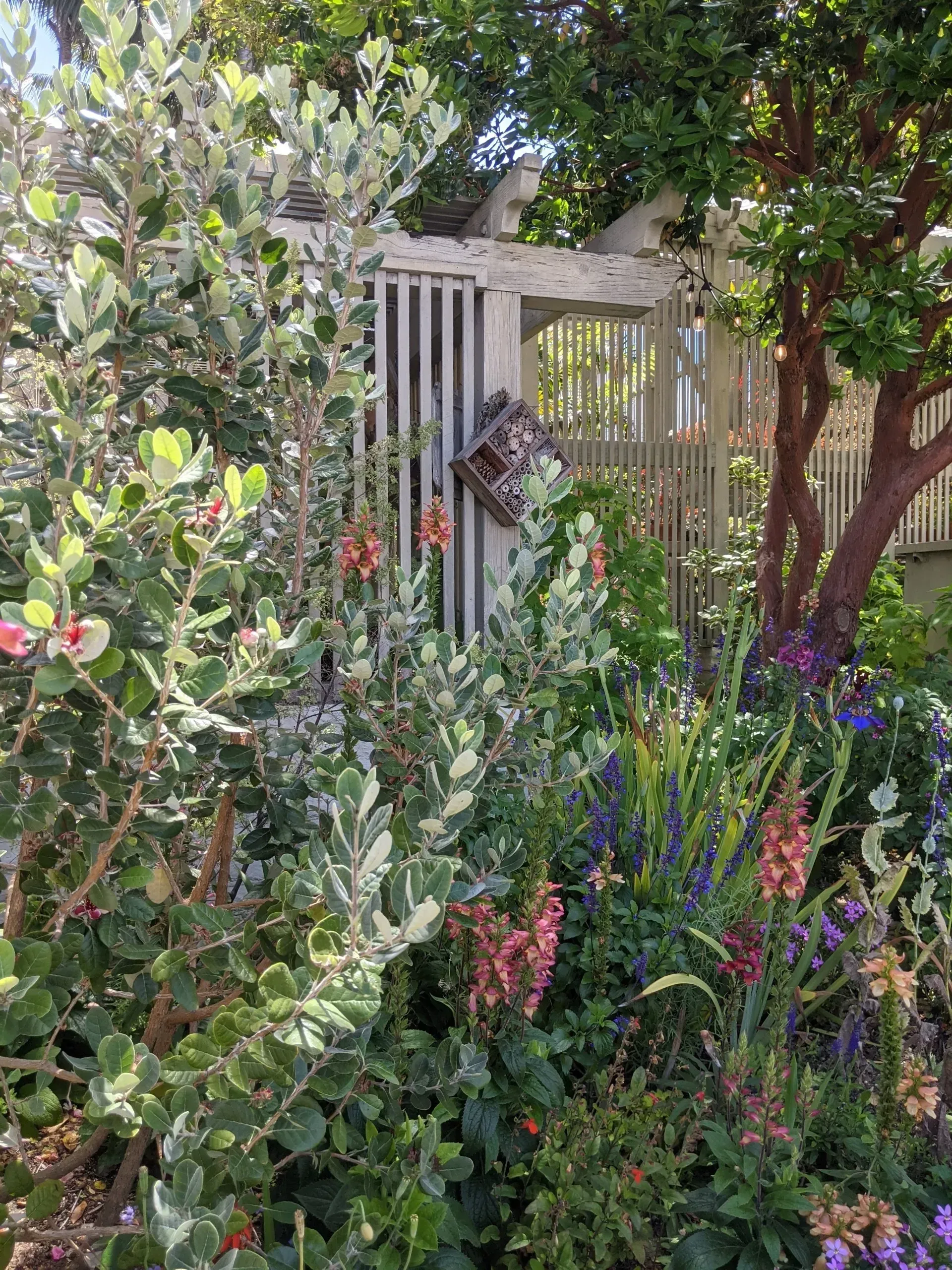 A lush garden with a white picket gate and various colorful flowers. Sunlight shines on the foliage and wooden structure.
