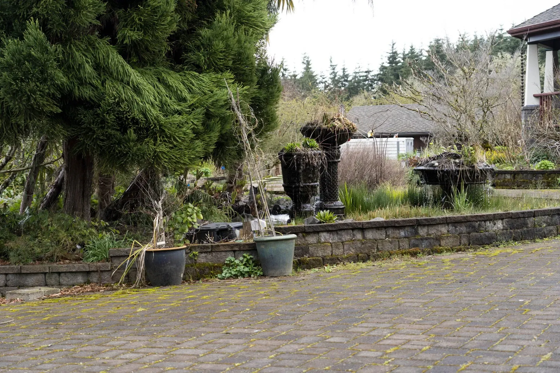A garden with brick planters, a lush green tree, and a house in the background. The sky is overcast.