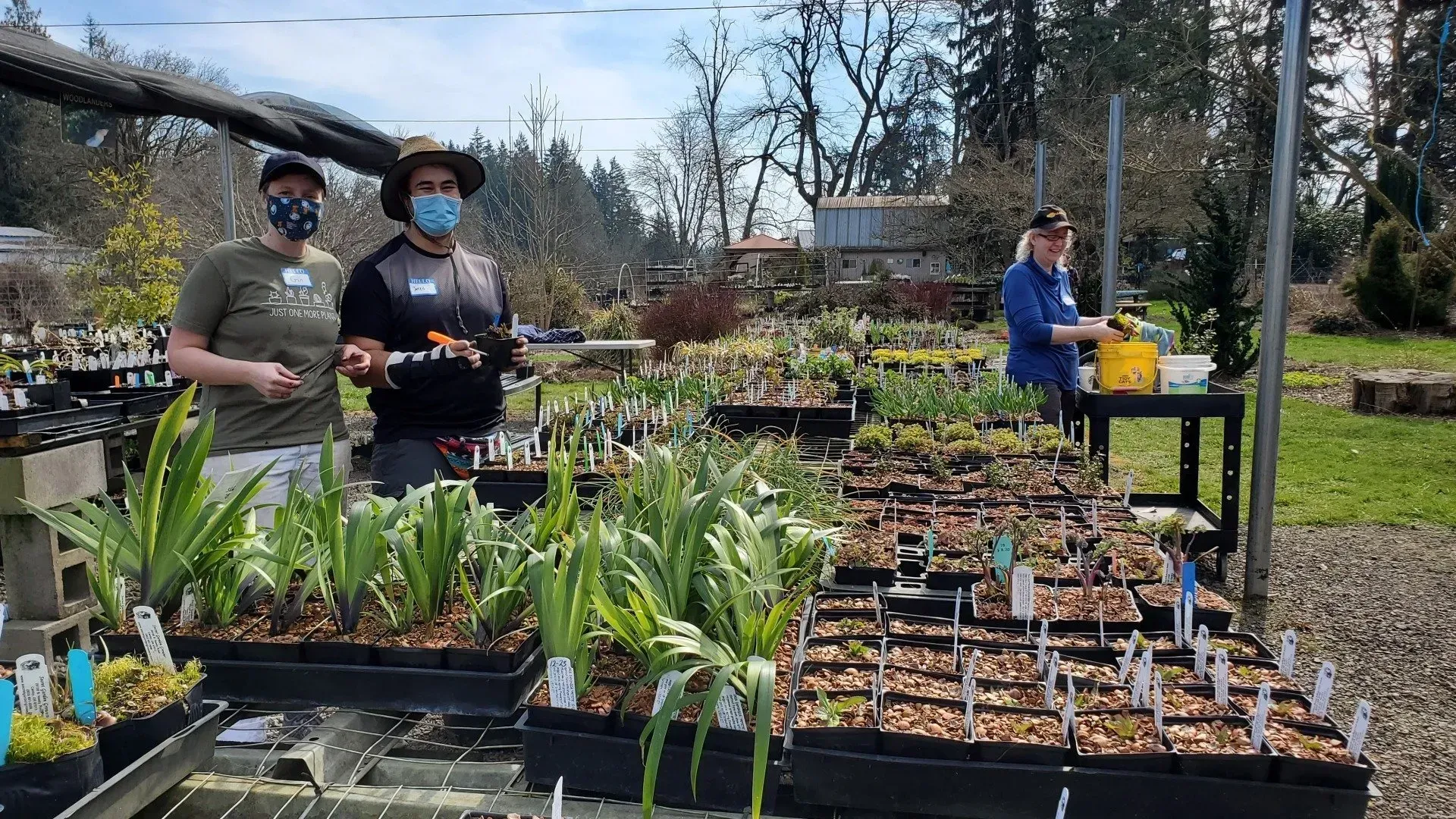 Three masked people tend to plants in a nursery setting. Two stand by a table of potted plants, one spraying water.
