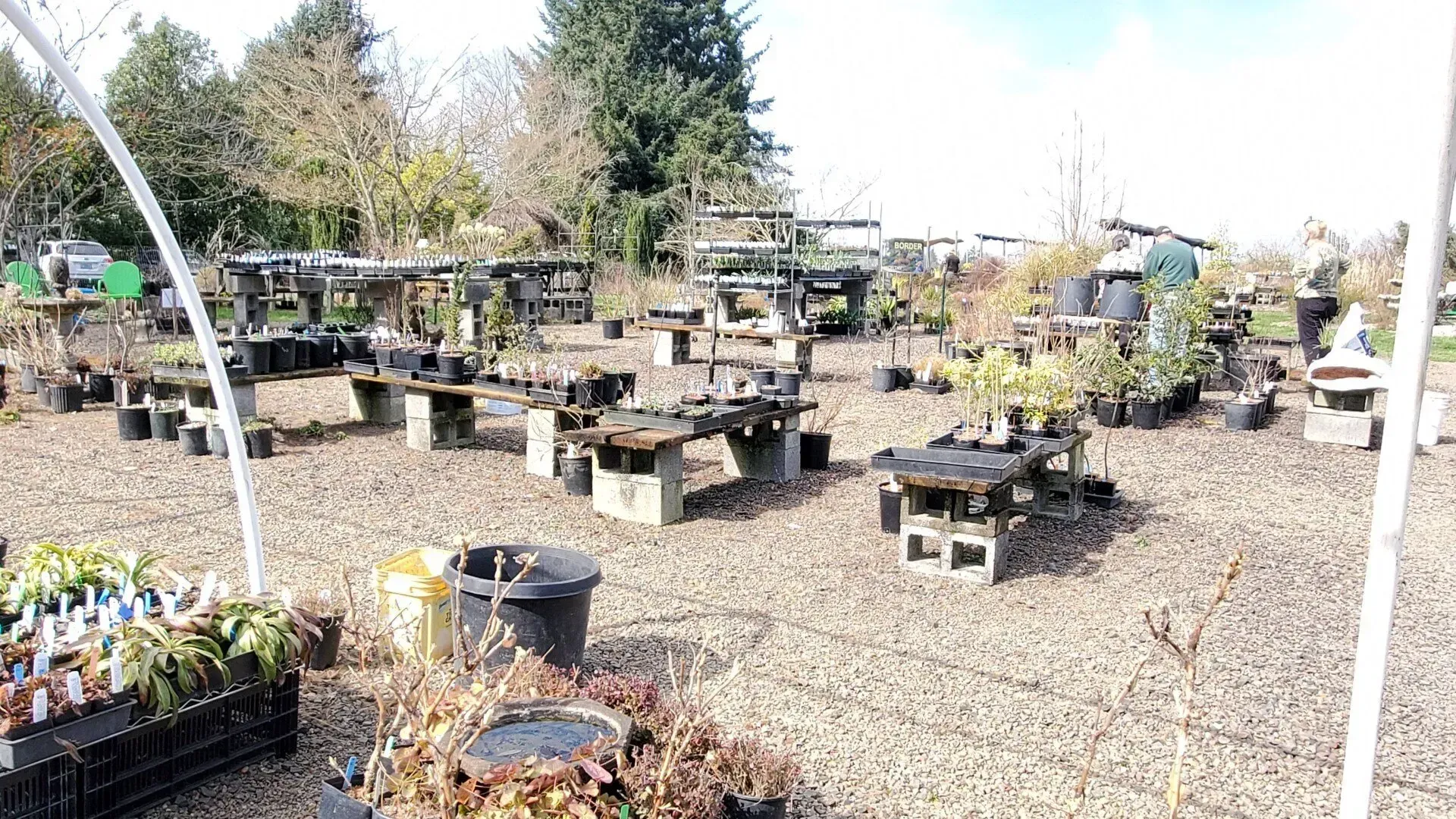 A plant nursery with various plants on tables made of cinder blocks. The setting is outdoors on a sunny day.