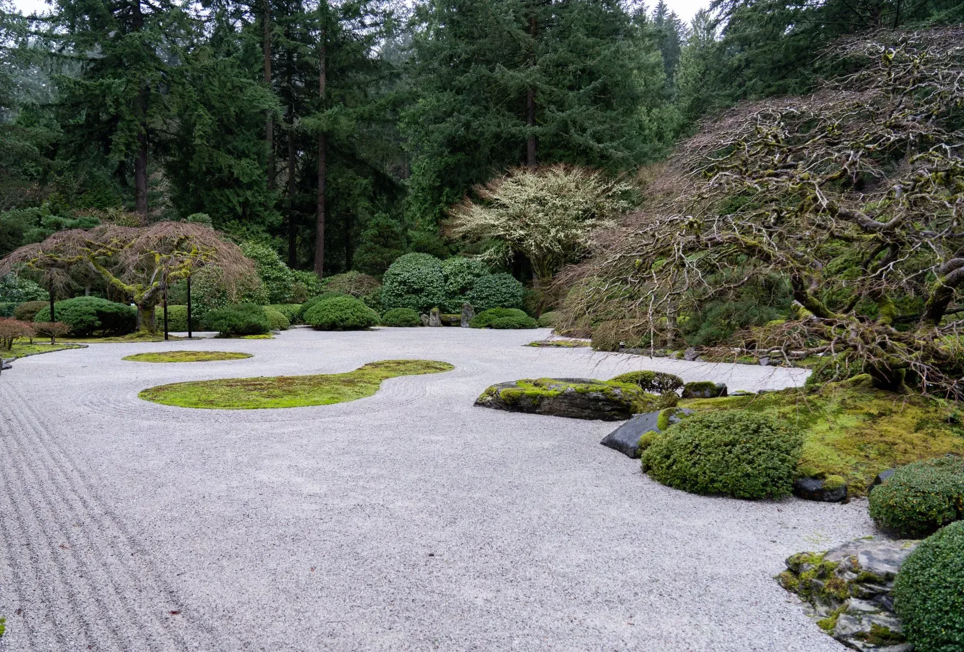 Japanese garden with raked gravel, mossy rocks, and sculpted trees. Dark green trees in the background under an overcast sky.