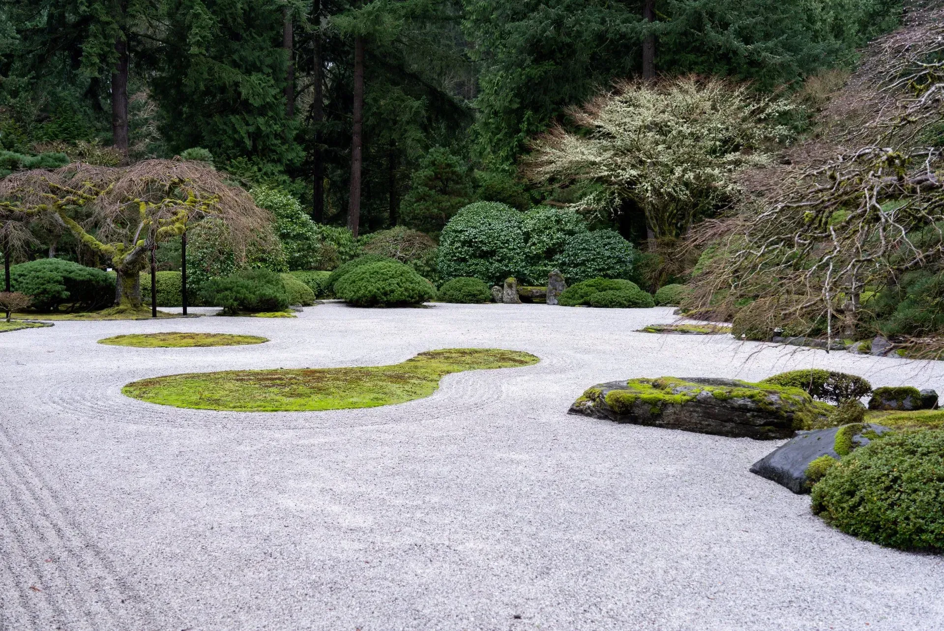 Zen garden with raked gravel, mossy islands, and trimmed trees, surrounded by dense greenery.