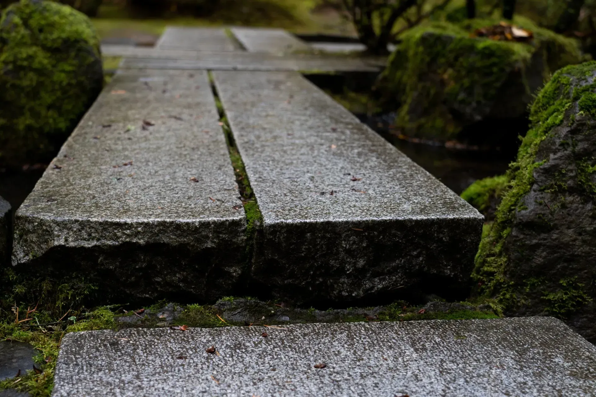 Stone path, with moss-covered rocks on either side, in a garden setting.