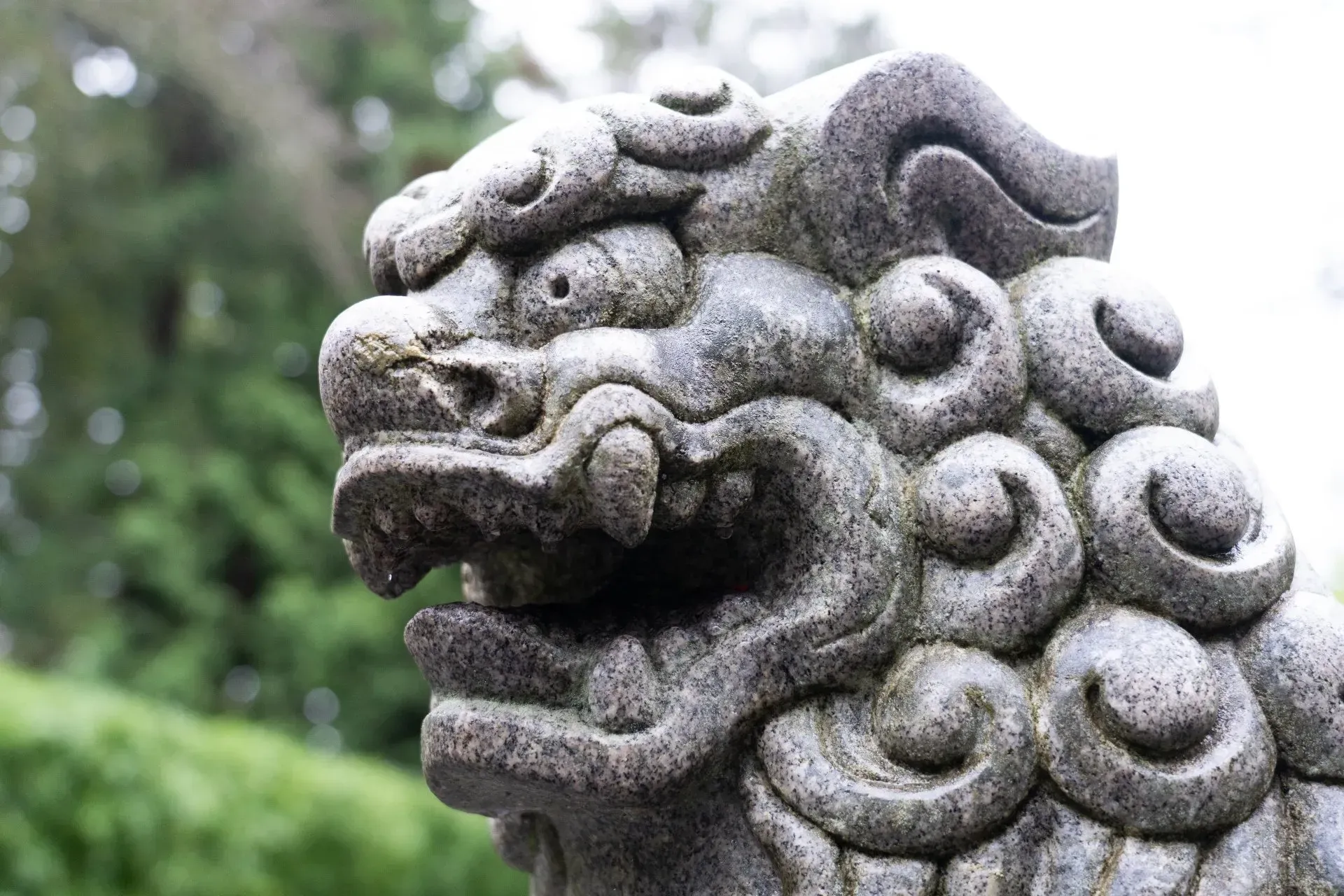 Stone guardian lion statue with a snarling expression, set in a blurred, outdoor environment.