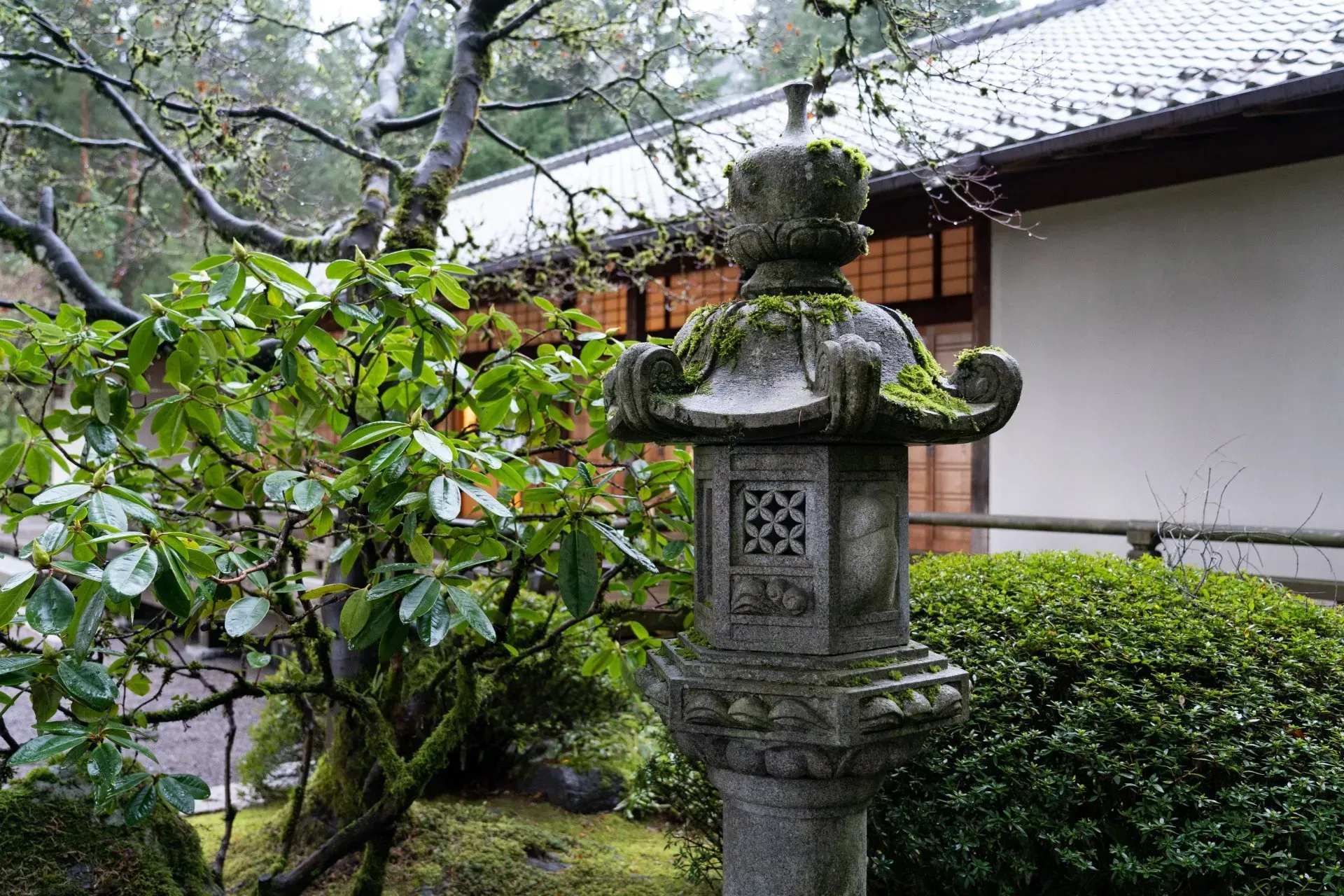 Stone lantern covered in moss in a Japanese garden, with green foliage and a building in the background.