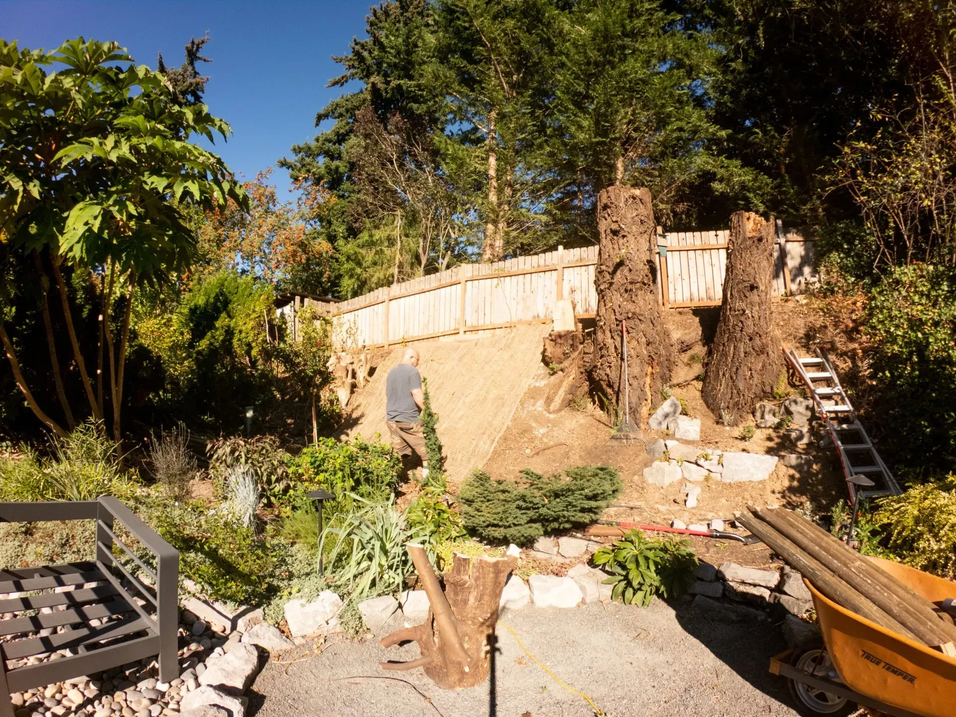 Man building a fence and steps in a garden. Wooden posts and planks, with gravel slope, trees, and blue sky.