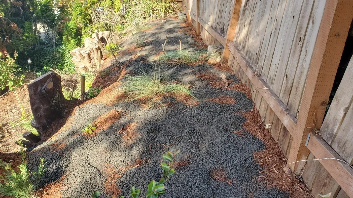 A sloped yard with black rock mulch next to a wooden fence. Some sparse green plants grow in the rock.