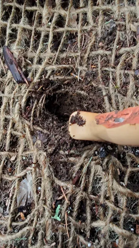 Close-up of a dark hole in the ground, with a tan and orange gardening tool. The hole is surrounded by a brown mesh.