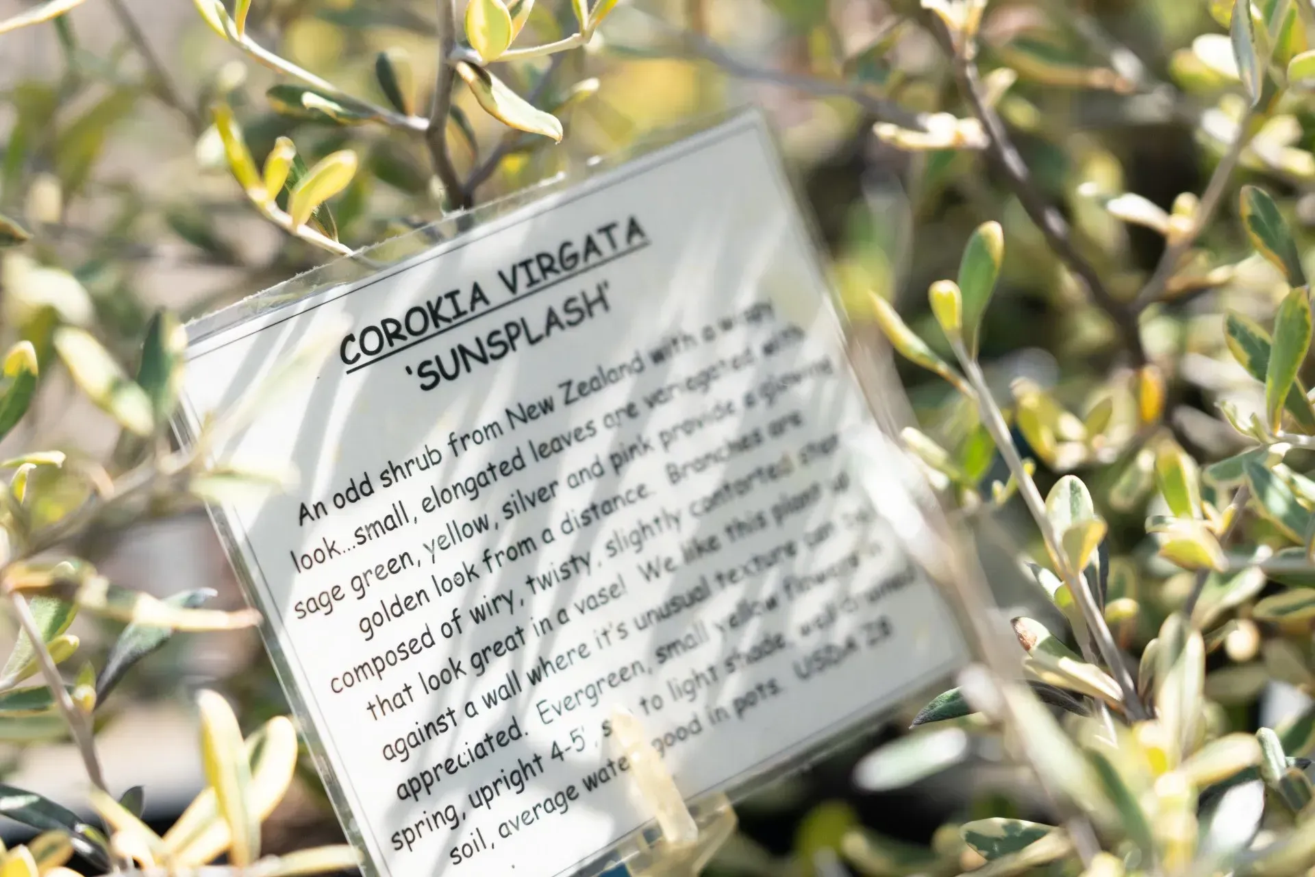 A plant label for 