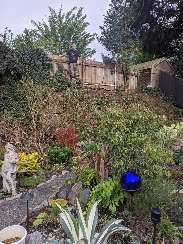 Person stands by a new wooden fence on a sloped yard with lush landscaping, plants, and a small shed.