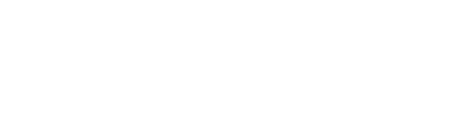 Dirtz logo