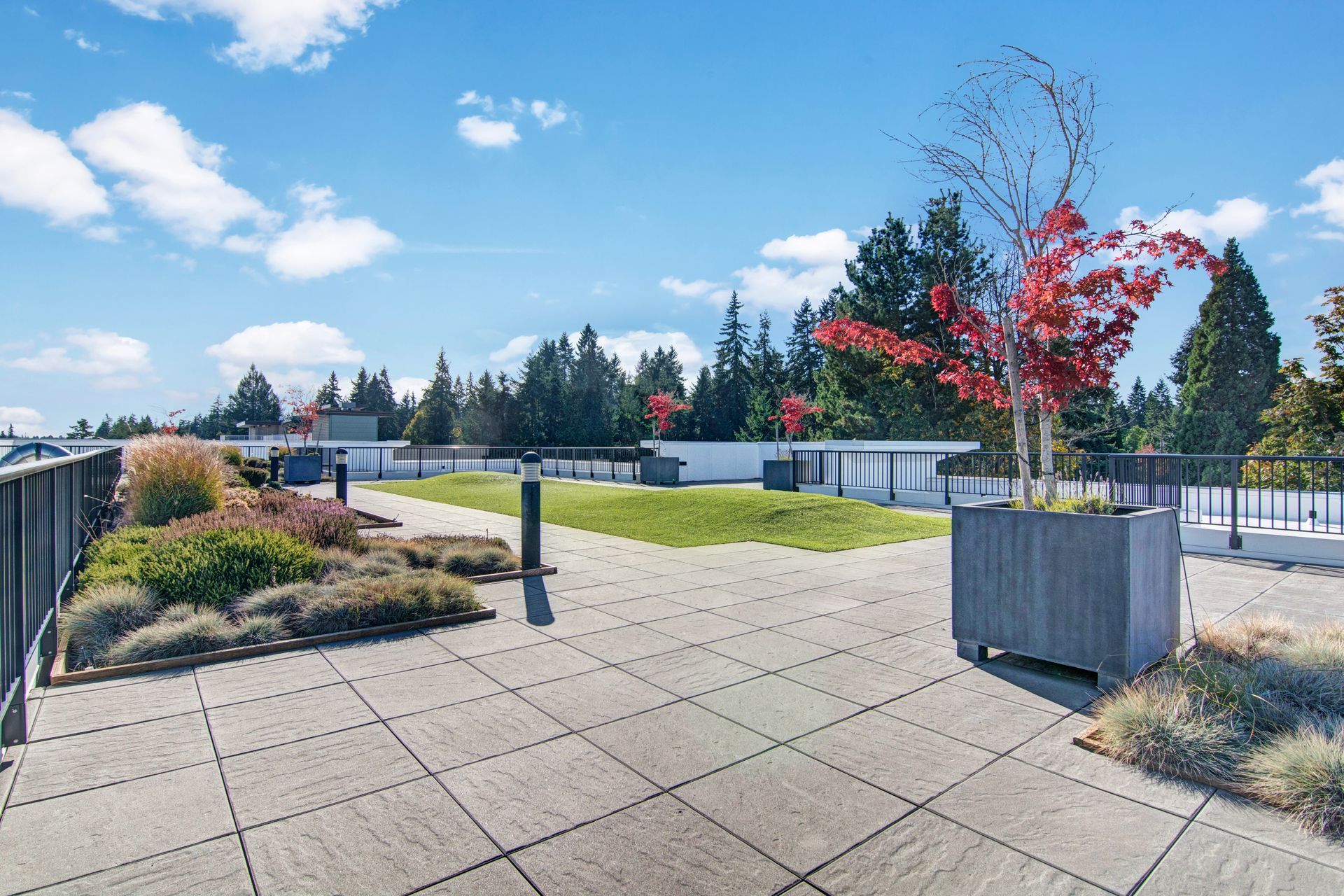 A rooftop garden with a tree in the middle of it.