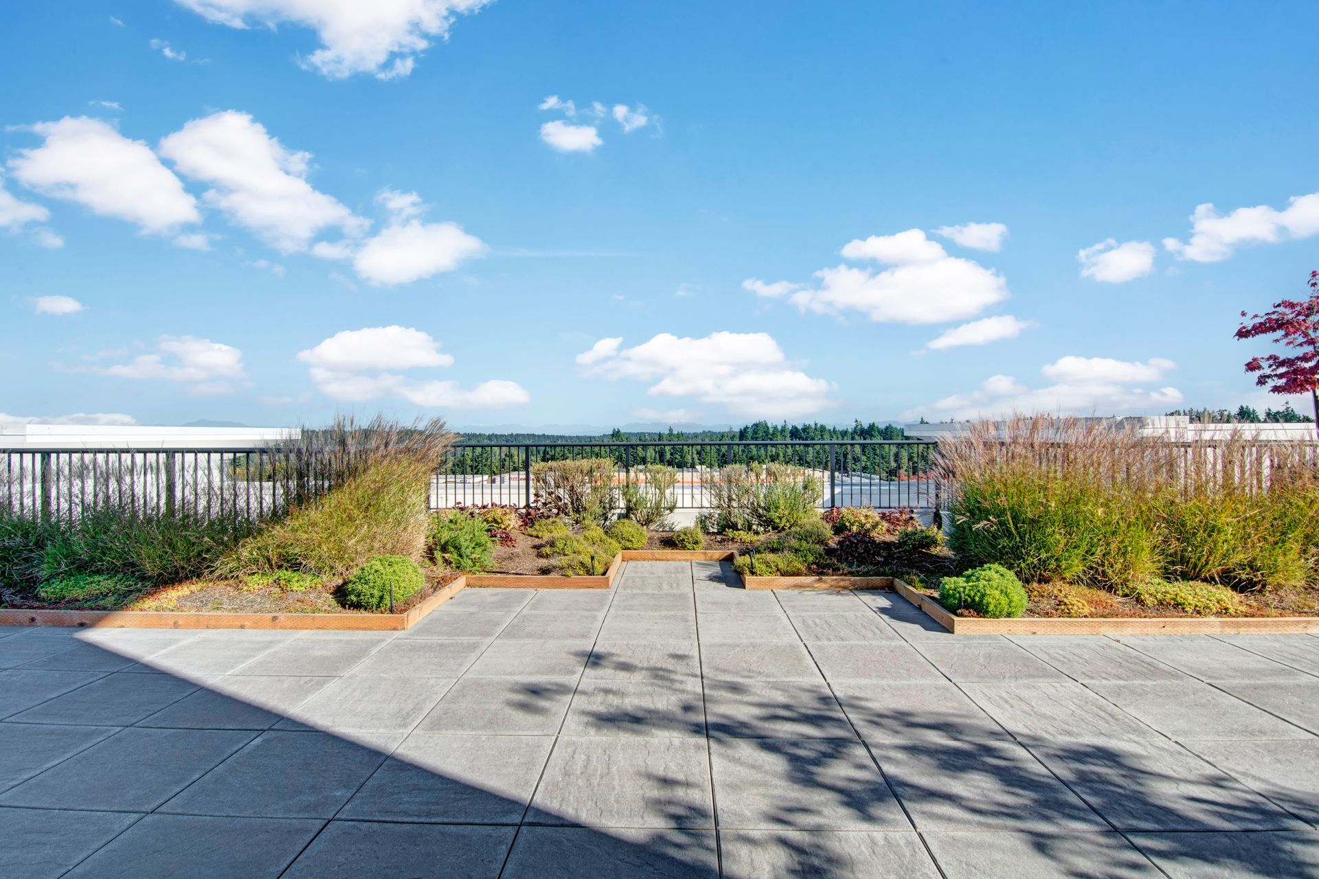 A rooftop garden with a blue sky and clouds in the background.