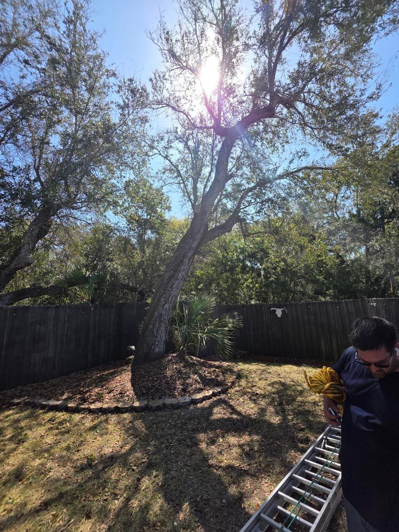 A man is standing next to a ladder in front of a tree.