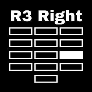 a crow sitting on a skull