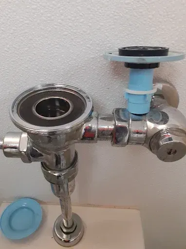 An industrial chrome toilet flush valve disassembled, showing the valve body, internal mechanisms, and a blue plastic cap.