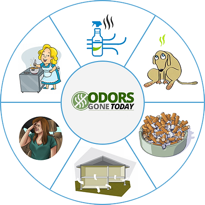 Odors Infographic | Fort Pierce, FL | Odors Gone Today