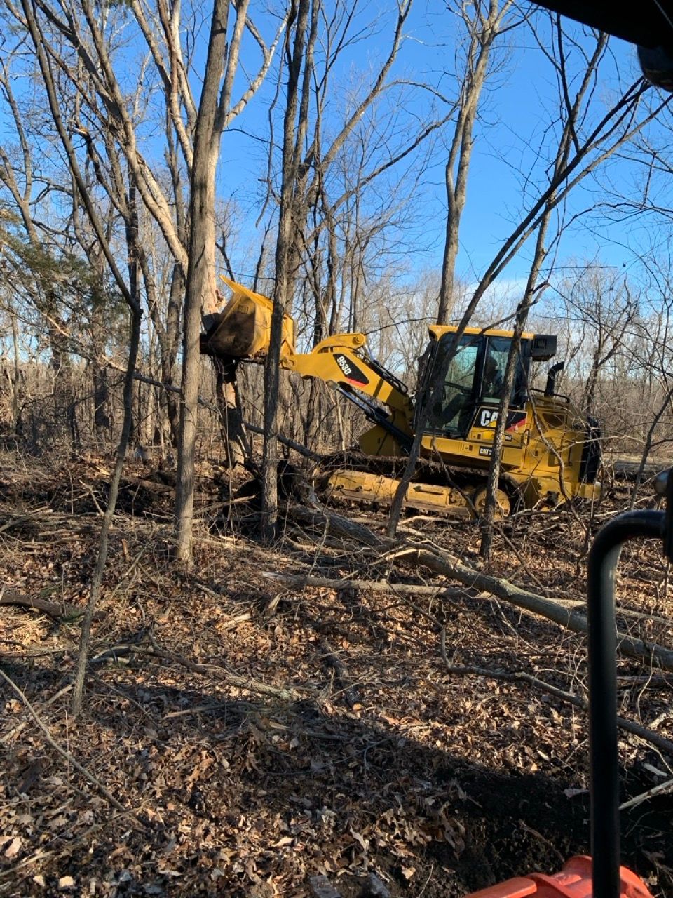 A bulldozer is cutting down trees in the woods.
