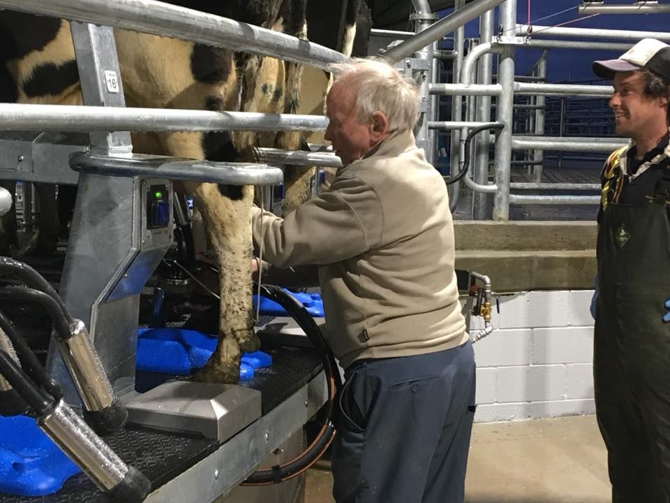 A man is milking a cow in a barn while another man watches.