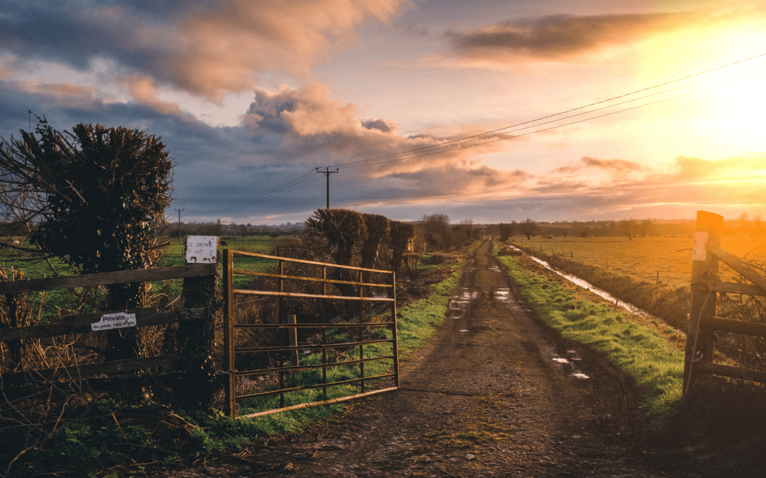 A dirt road leading to a field with a sunset in the background.