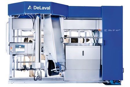 A DeLaval milking machine with a cow inside of it.
