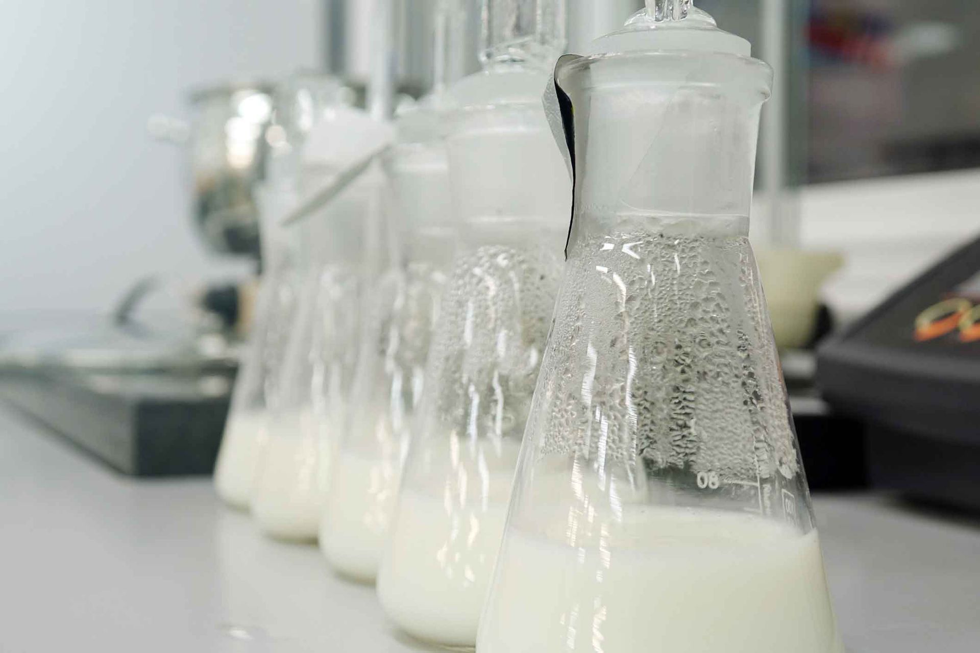 A row of beakers filled with milk are sitting on a table.
