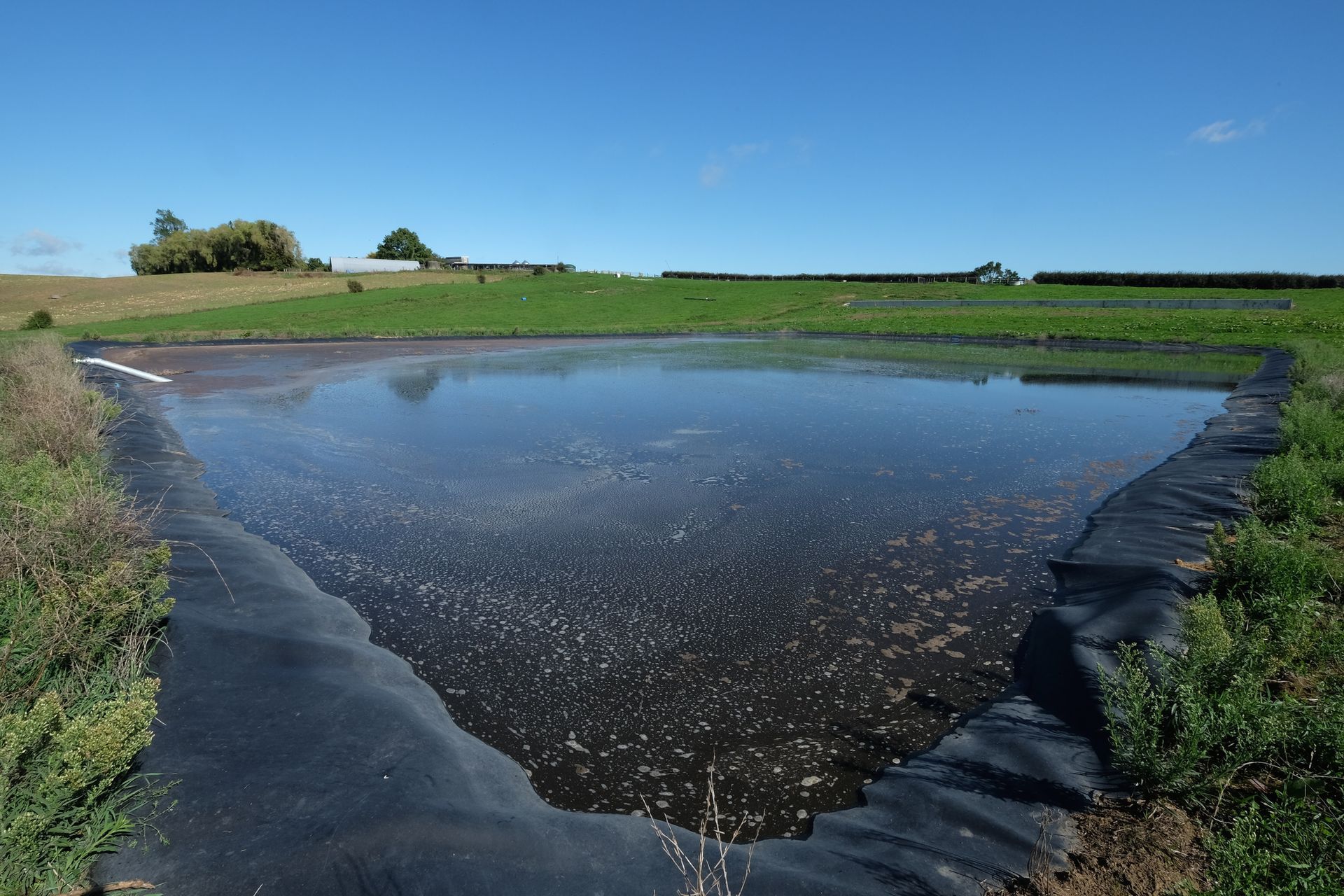 A large body of water in the middle of a field