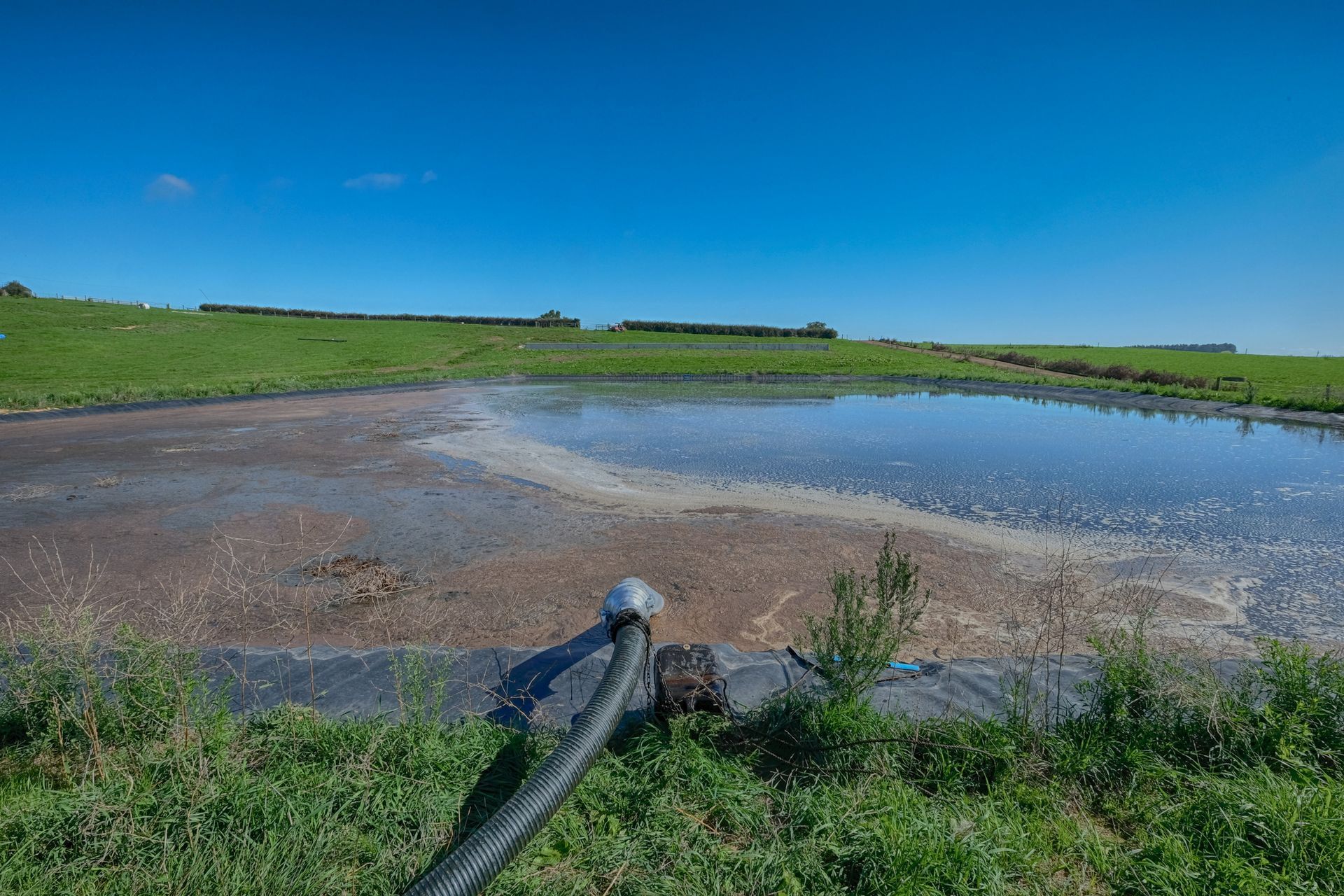 A hose is connected to a pond in a grassy field.
