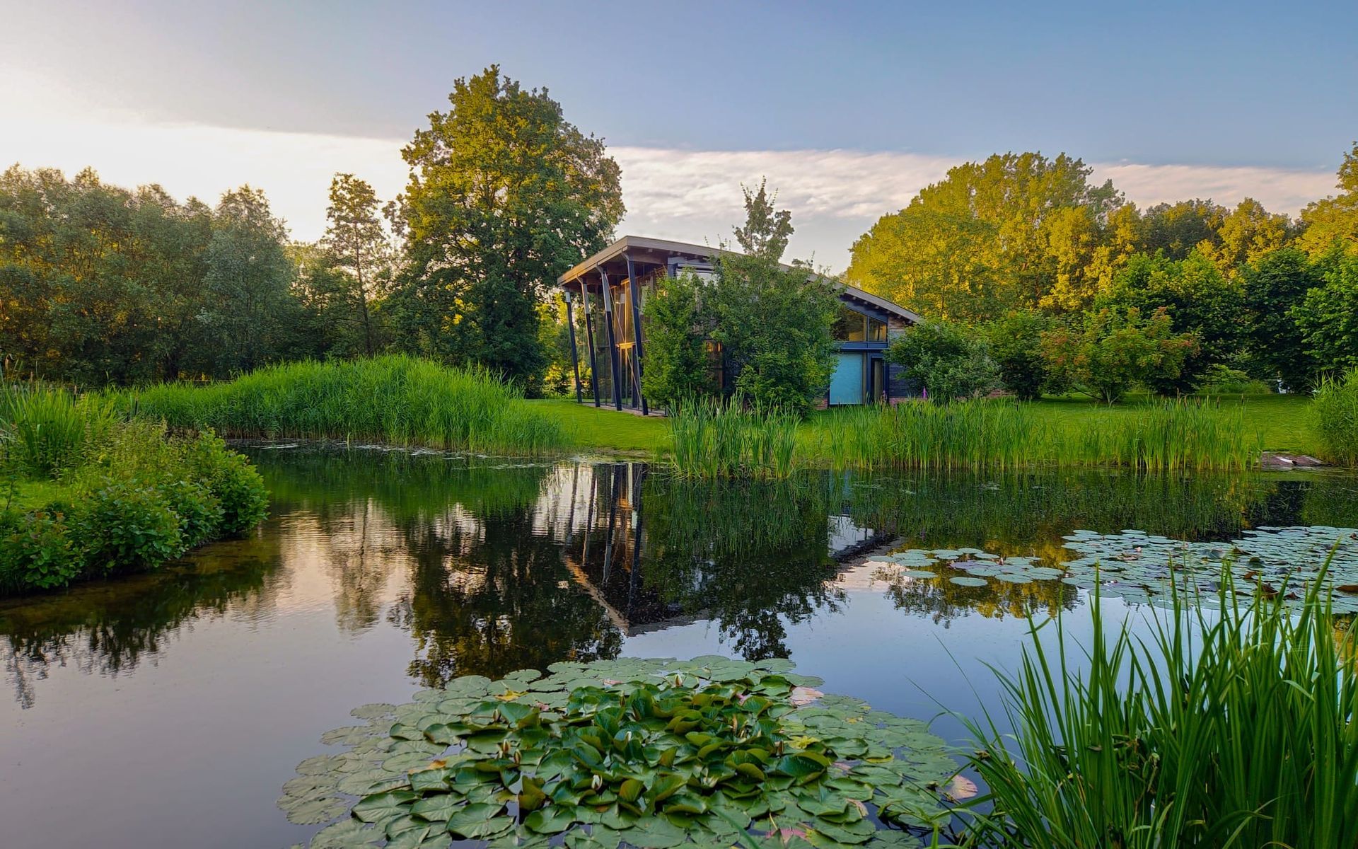 De praktijk van Nancy, hypnotherapeut, psycholoog en facilitator van psychedelische retreats, bevindt zich in gezondheidscentrum Zen Natuurlijk in Schijndel.