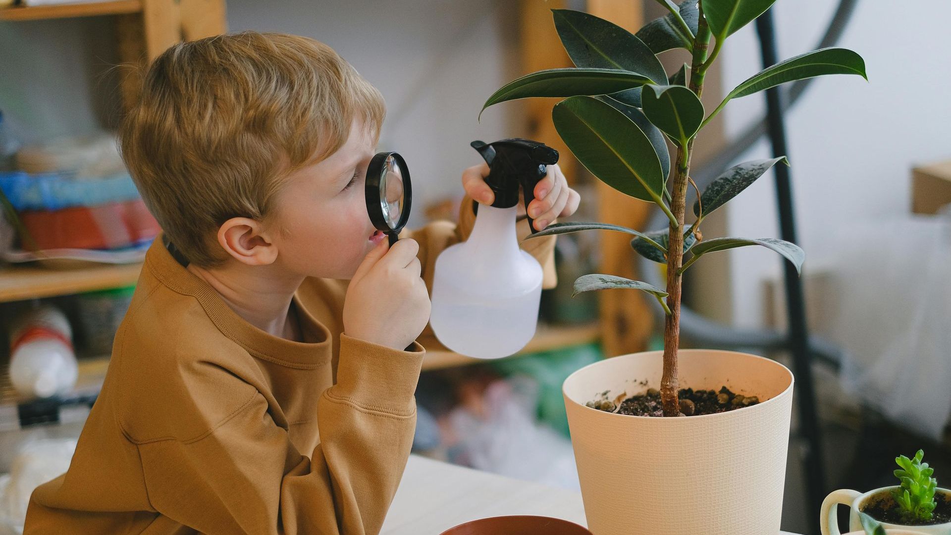 A young boy is looking through a magnifying glass at a plant.