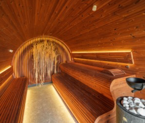 Intérieur de sauna en bois avec banquettes incurvées, éclairage d'ambiance et éléments végétaux décoratifs.