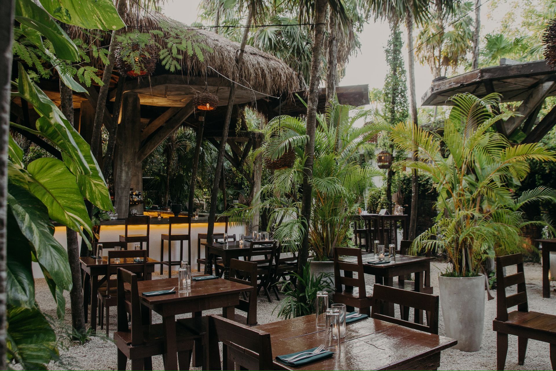 A restaurant with tables and chairs in the middle of a lush green forest.