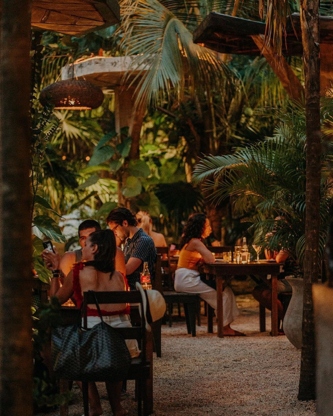 A group of people are sitting at tables in a restaurant surrounded by trees.