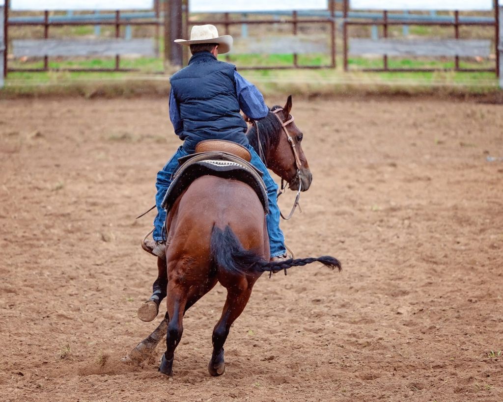 Cowboy on a brown horse in an arena, wearing a hat and vest.