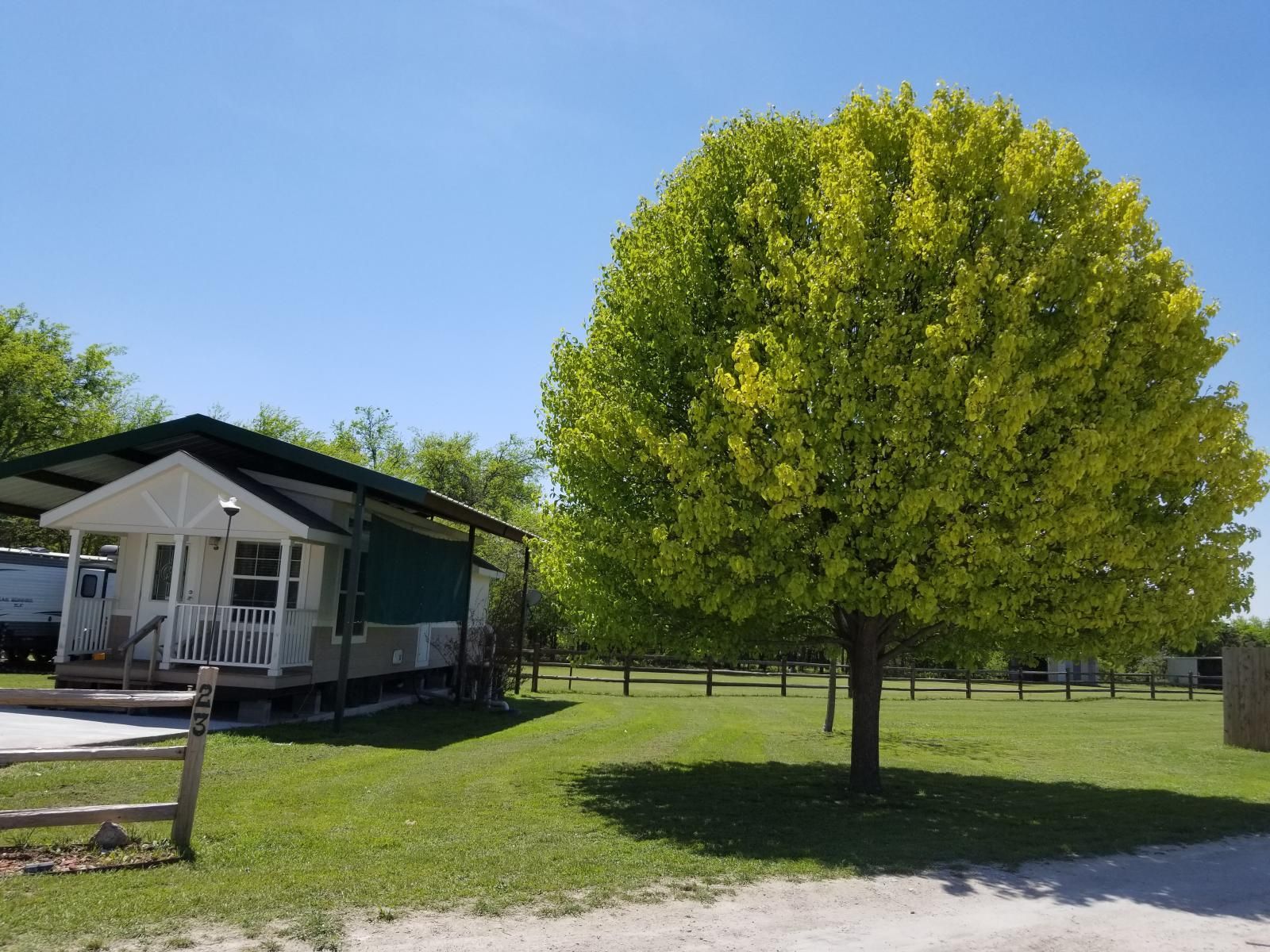 Cabin with green roof and a large tree with yellow-green leaves on a grassy lawn.