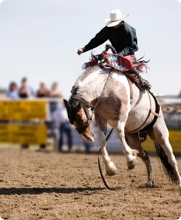 Cowboy riding a bucking horse in a rodeo, with a crowd in the background.