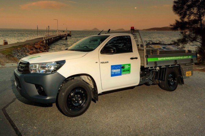 Tomaree Pest Control Ute - Pest Control in Anna Bay, NSW
