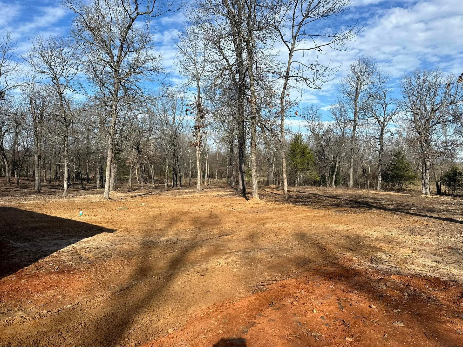 Dirt clearing in front of bare trees under blue sky.