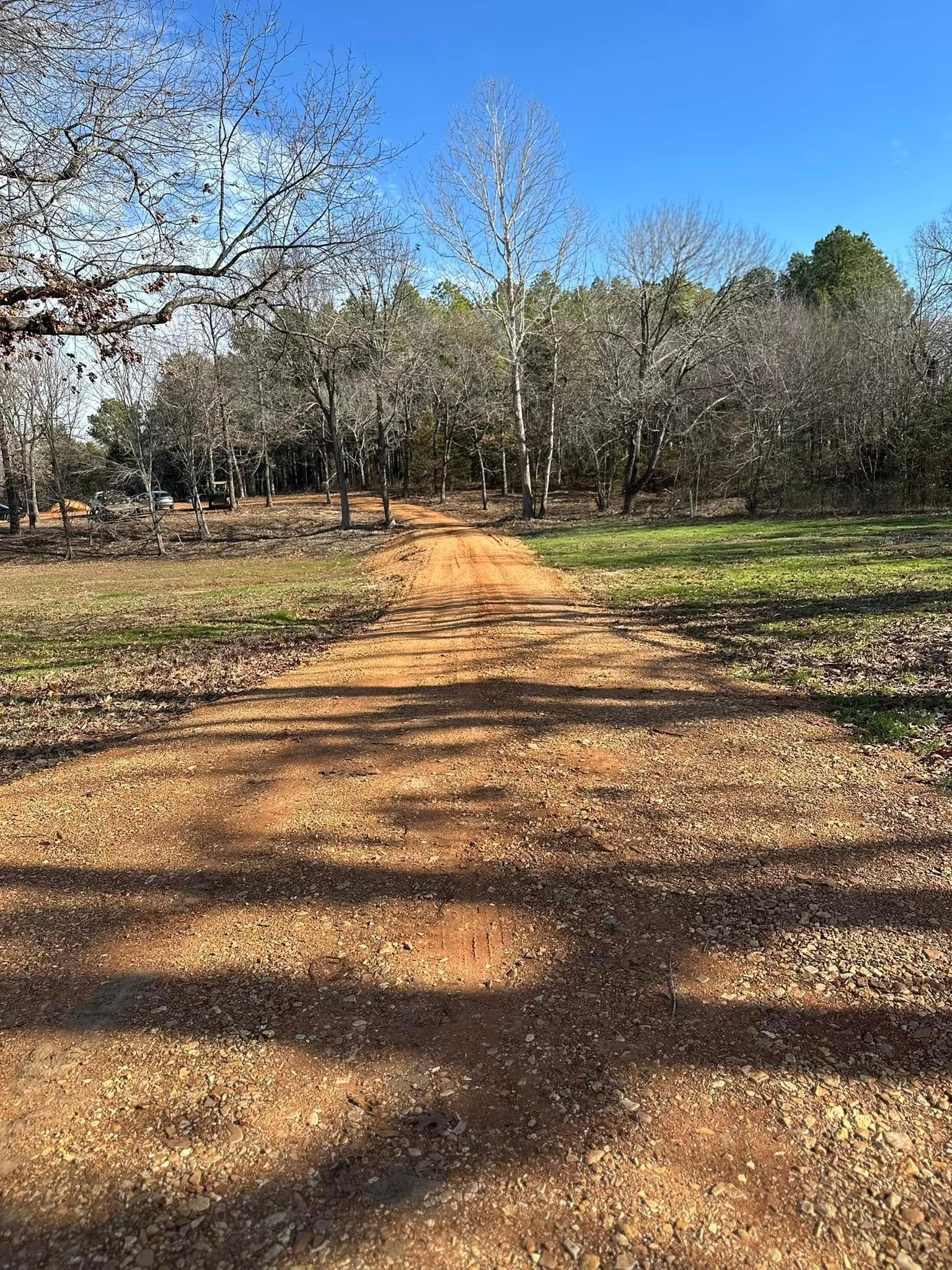 Dirt path through a park lined with bare trees under a clear blue sky.
