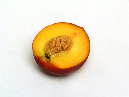Peach in half