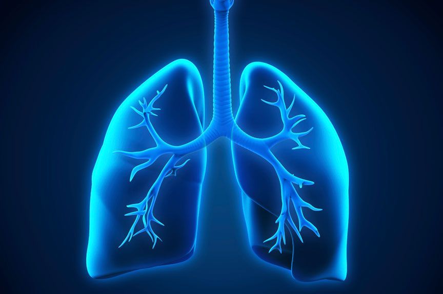 PULMONES