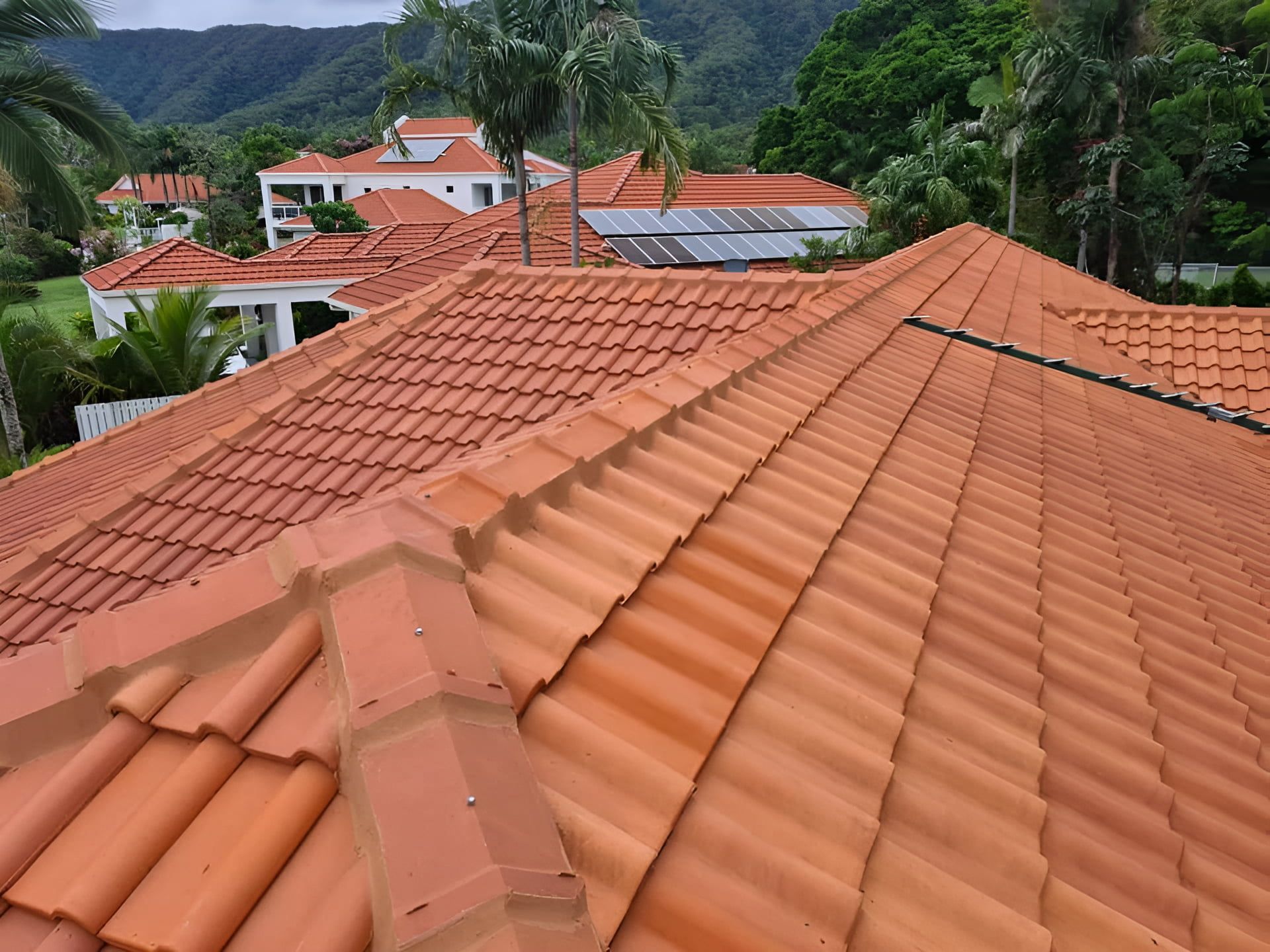 Red Tile Roof of A House with Surrounding Green Trees — High Performance Roof Tiling P/L in Kewarra Beach, QLD