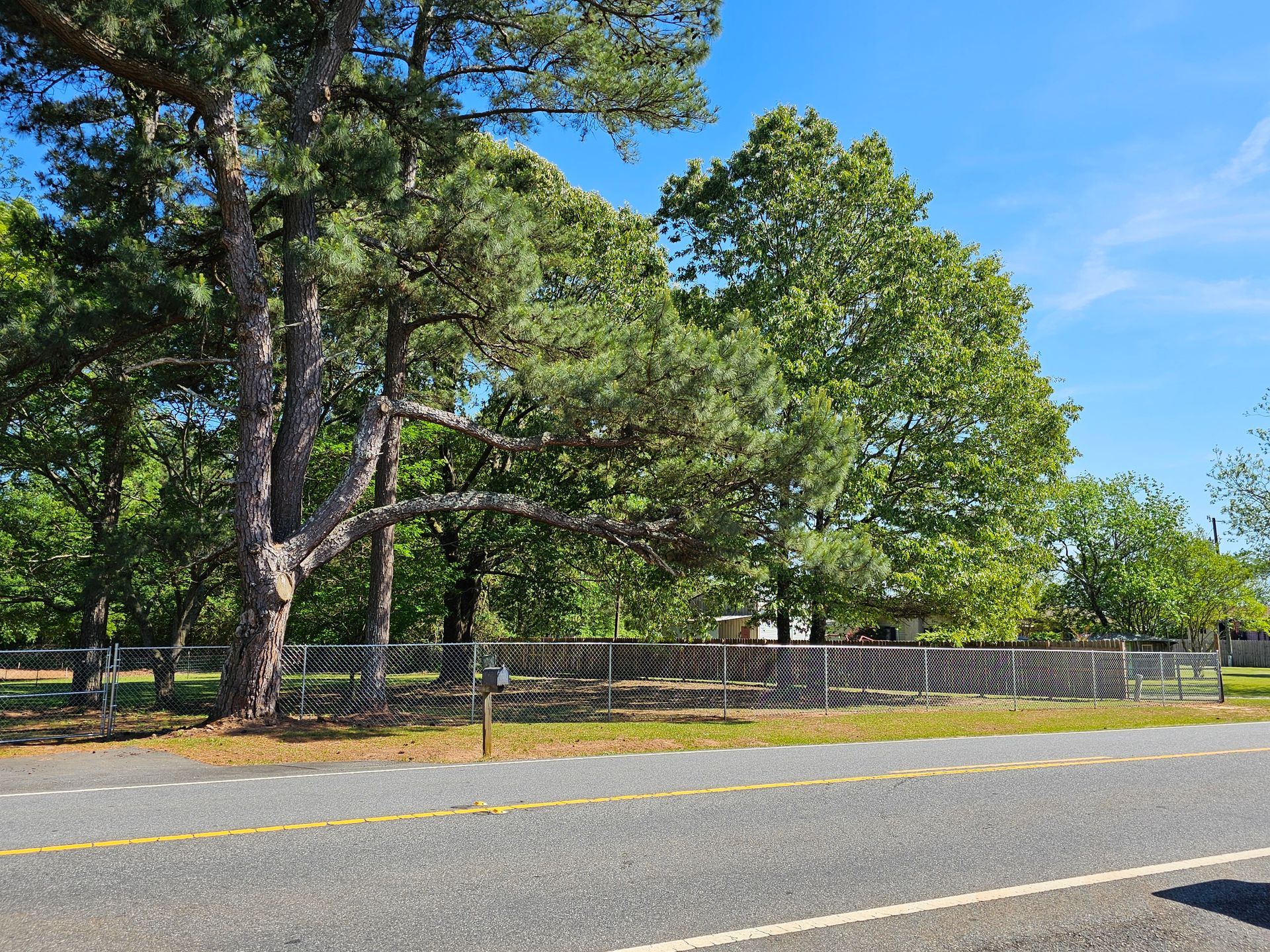 A road with a lot of trees on the side of it