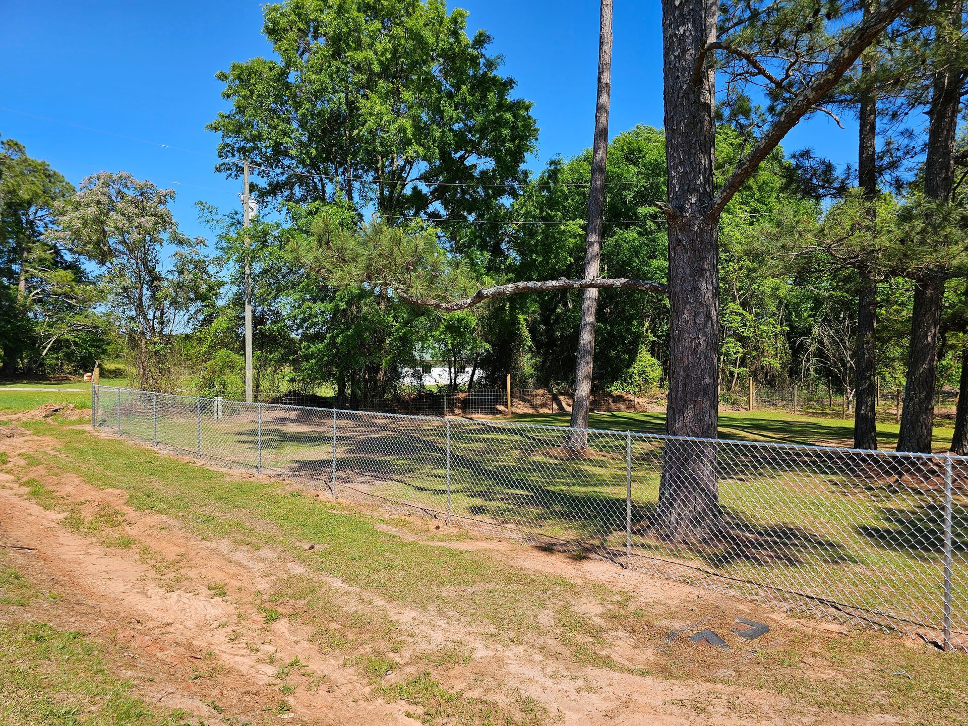 A chain link fence surrounds a grassy field with trees in the background.