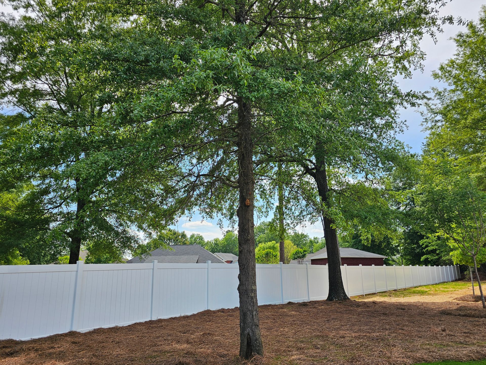 A white fence is surrounded by trees in a yard.