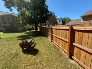 Backyard lawn with a wooden privacy fence, tree, and a small rock near the center