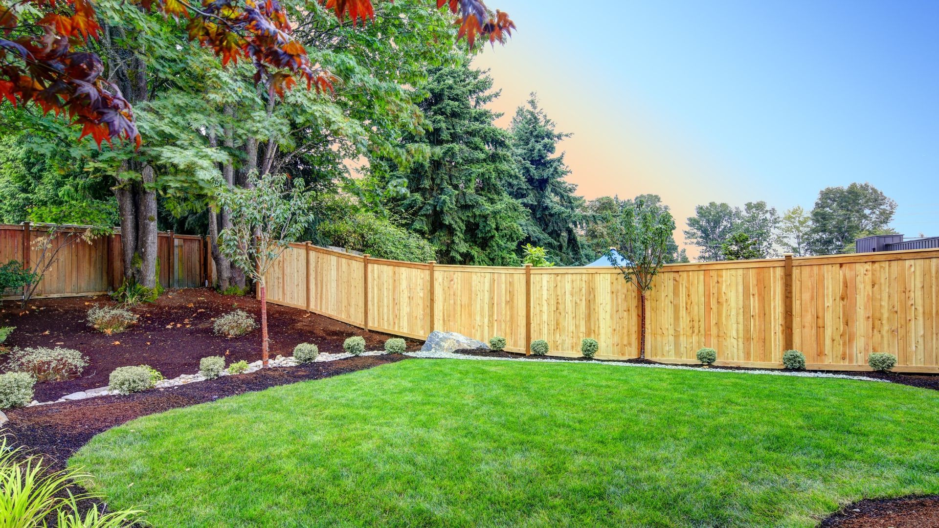 Lush backyard with green lawn, wooden fence, landscaped flower beds, and trees at sunset