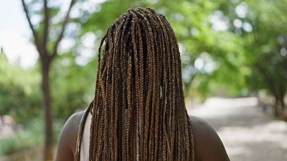 The back of a woman with braids in her hair